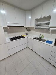 Seasons Park (D26), Condominium #519830481